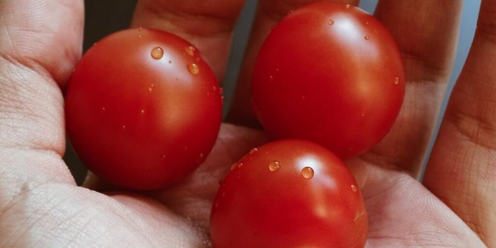 Can we make pizza in grill microwave oven? Combi Oven