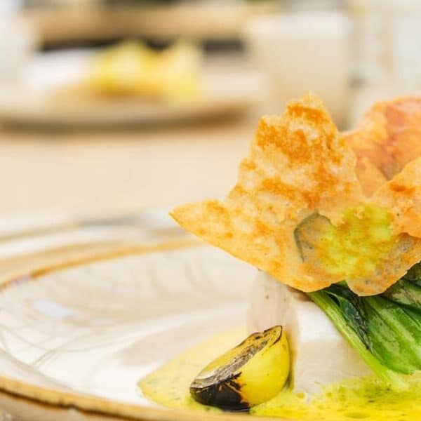 Is Bosch a Chinese company?