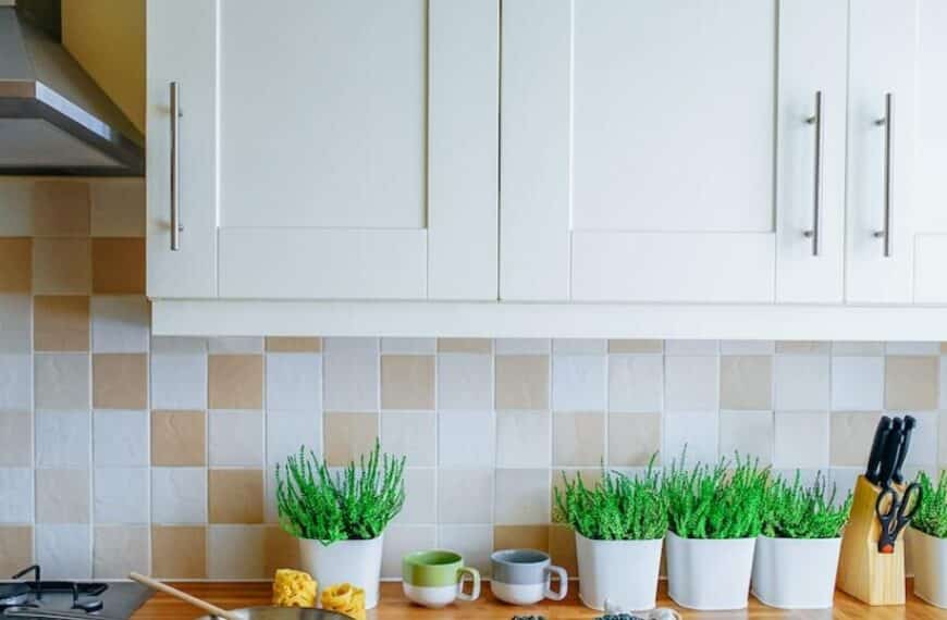 What are convection ovens best for?