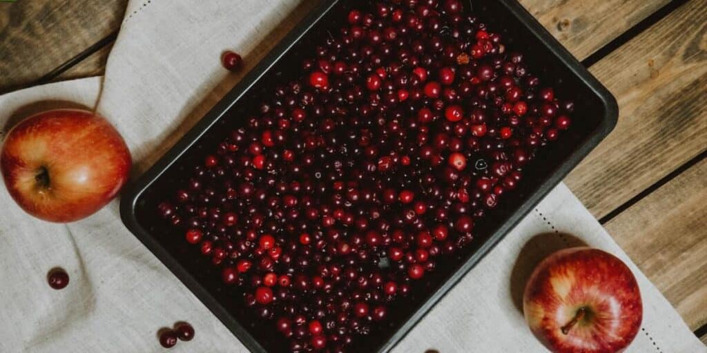 What is the difference between roasted and rotisserie chicken? Combi Oven